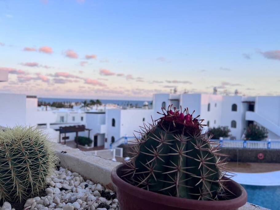 Apt 360º Panoramic View コスタ・テギセ エクステリア 写真