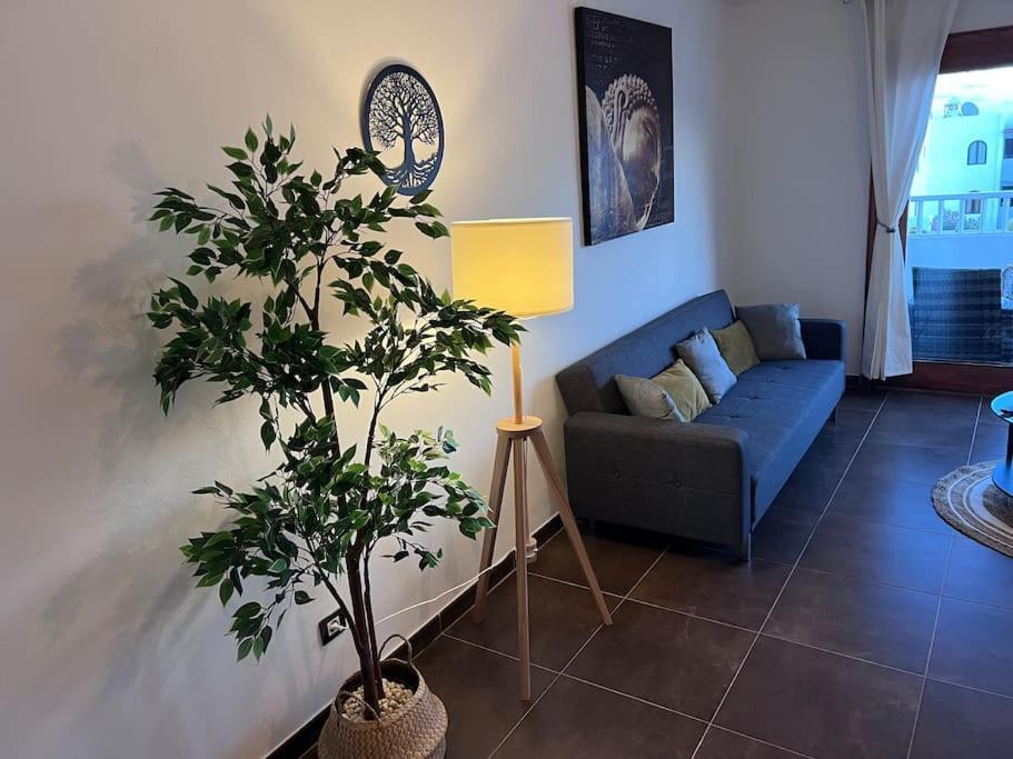 Apt 360º Panoramic View コスタ・テギセ エクステリア 写真